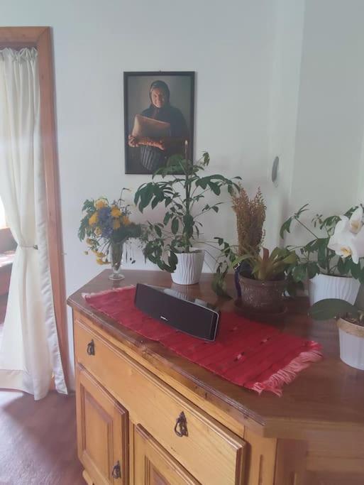 Cemerno Cottage Gacko 外观 照片